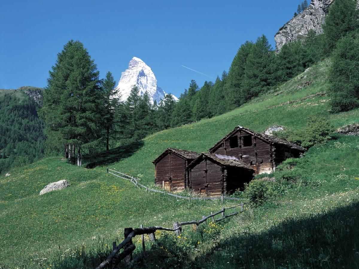 Bellevue-7 By Interhome * Zermatt